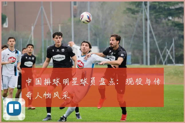 中国排球明星球员盘点:现役与传奇人物风采