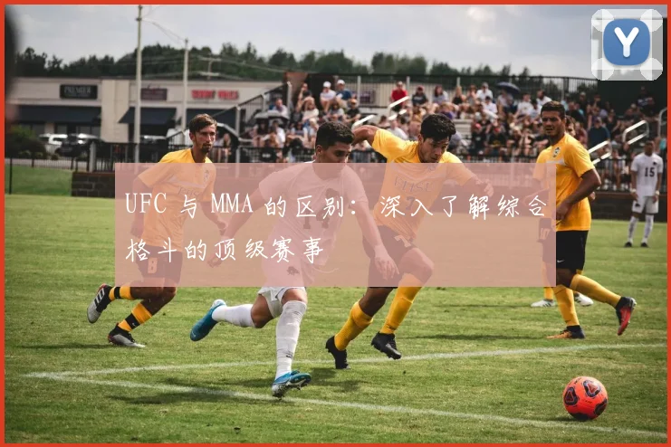 UFC 与 MMA 的区别：深入了解综合格斗的顶级赛事