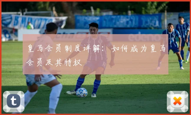皇马会员制度详解:如何成为皇马会员及其特权